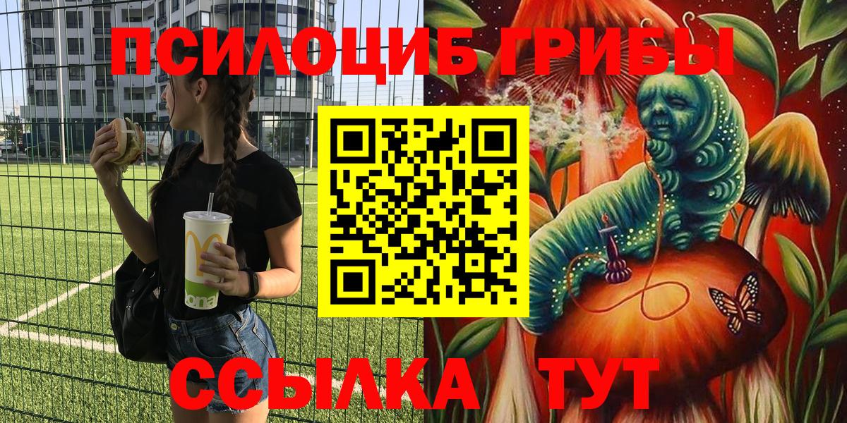 Галлюциногенные грибы Psilocybe Иркутск