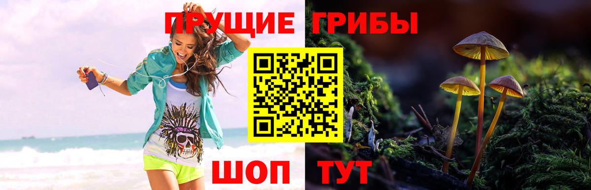 Галлюциногенные грибы мухоморы  Вход с VPN  хочу наркоту  Иркутск  Псилоцибиновые грибы GOLDEN TEACHER 